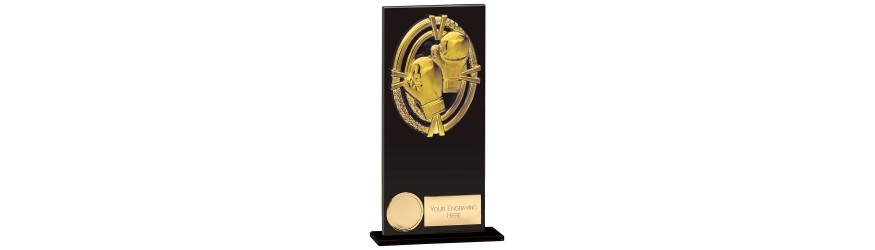 FUSION MAVERICK BOXING TROPHY - 5 SIZES - 12.5CM - 20CM FUSION MAVERICK BOXING TROPHY - 5 SIZES - 12.5CM - 20CM